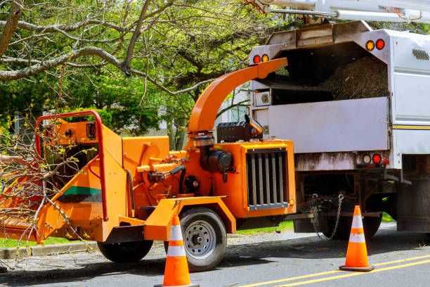  Largo, MD Tree Removal Pros
